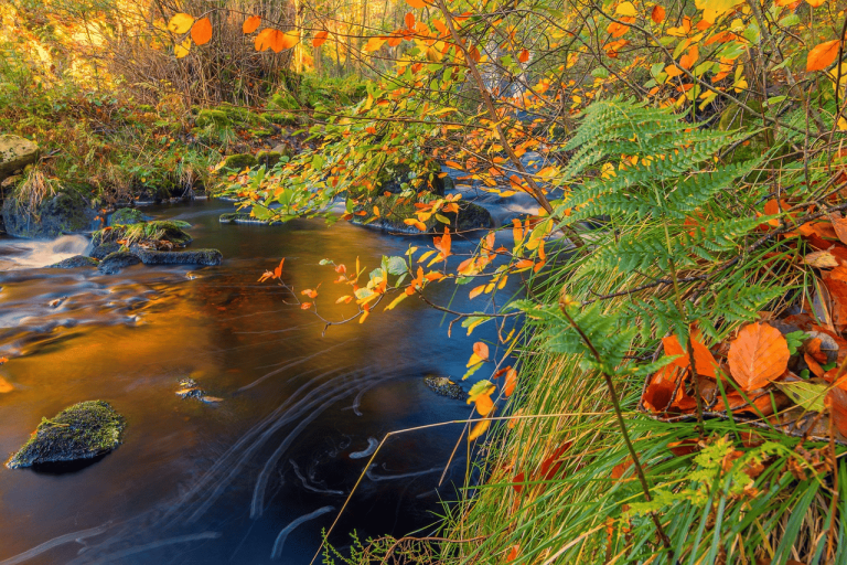 S’impestu in su sartu in s’antigòriu