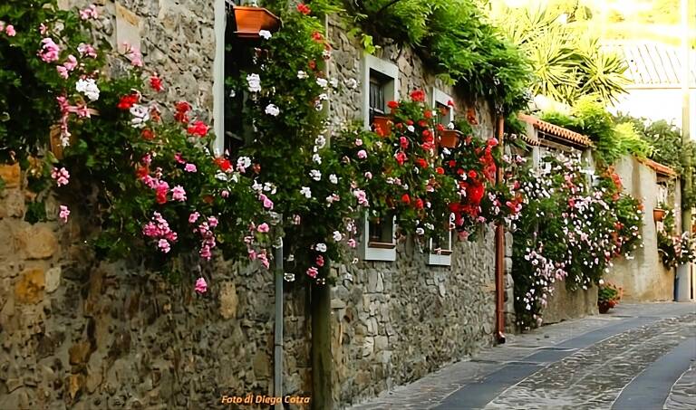 Chi bolis intrai nara-mì is maideus.