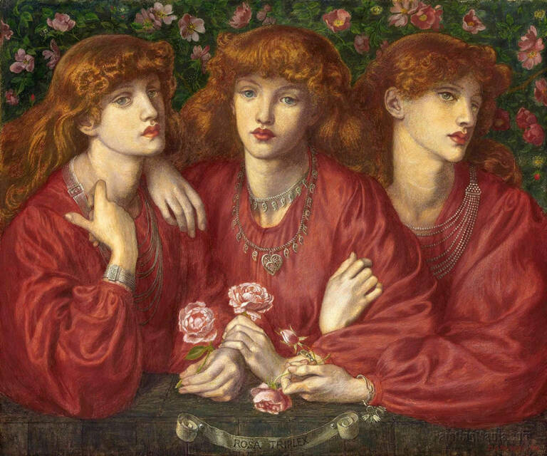 Rosa triplex, sa màgini de bellesa eterna.