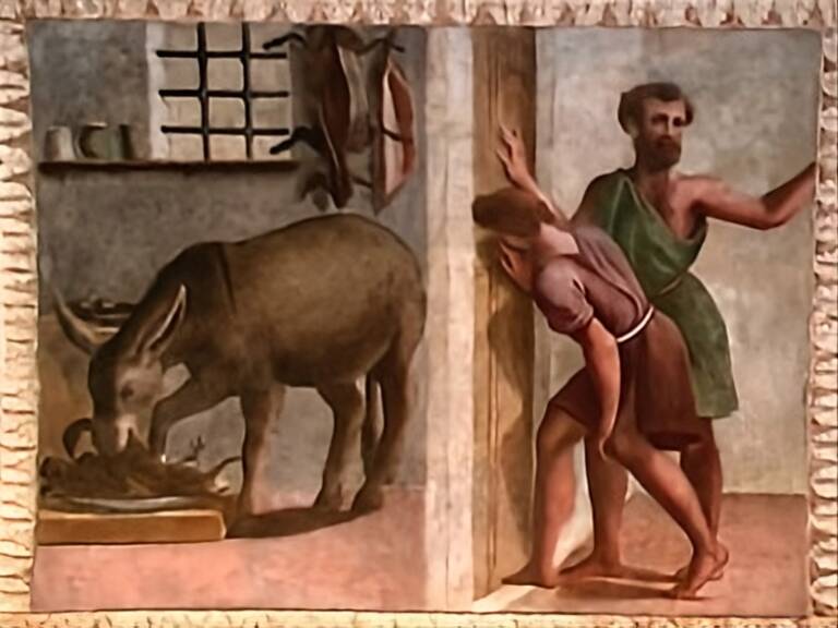 Is tzeracus ddu cassant papendi petza 13-15.